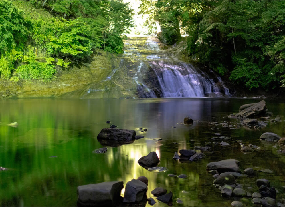 緑に囲まれた滝と水面
