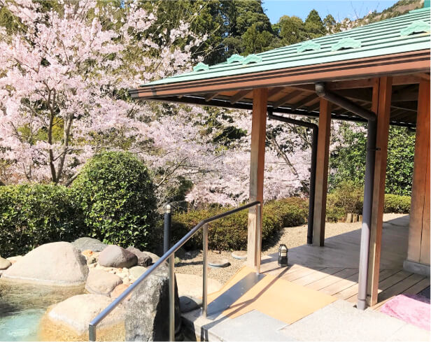 桜が咲くごりやくの湯の露天風呂