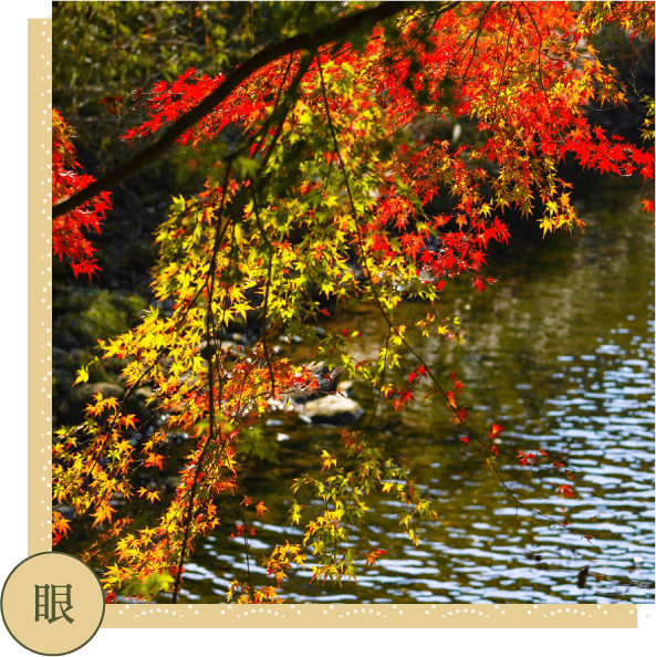 水面に映る色鮮やかな紅葉
